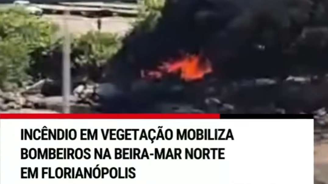 Um incêndio em área de vegetação foi registrado na manhã desta segunda-feira (26) nas proximidades d