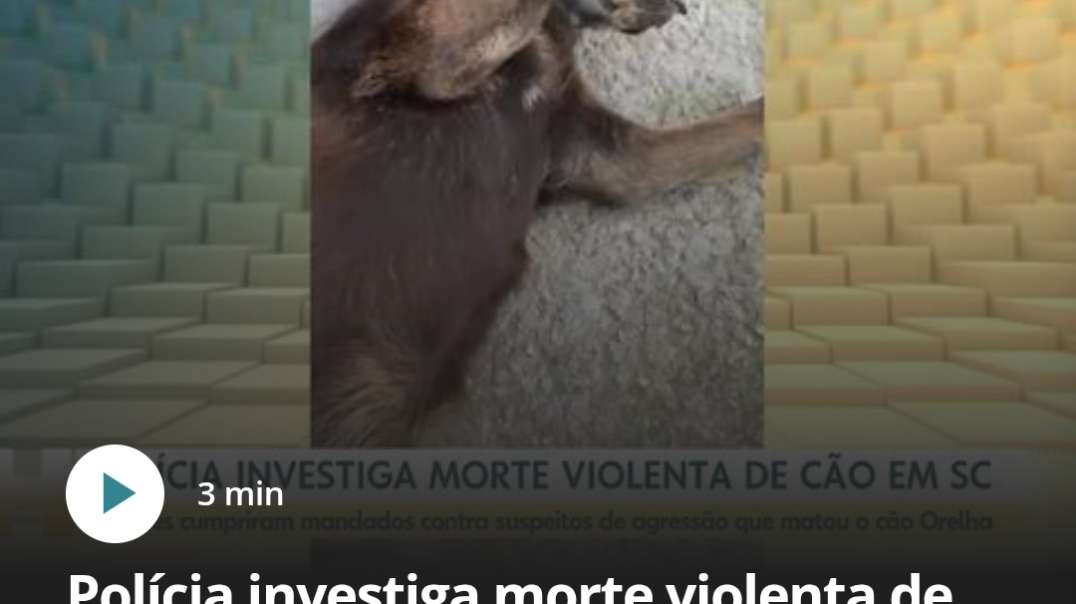 Polícia investiga morte violenta de cão em Santa Catarina.