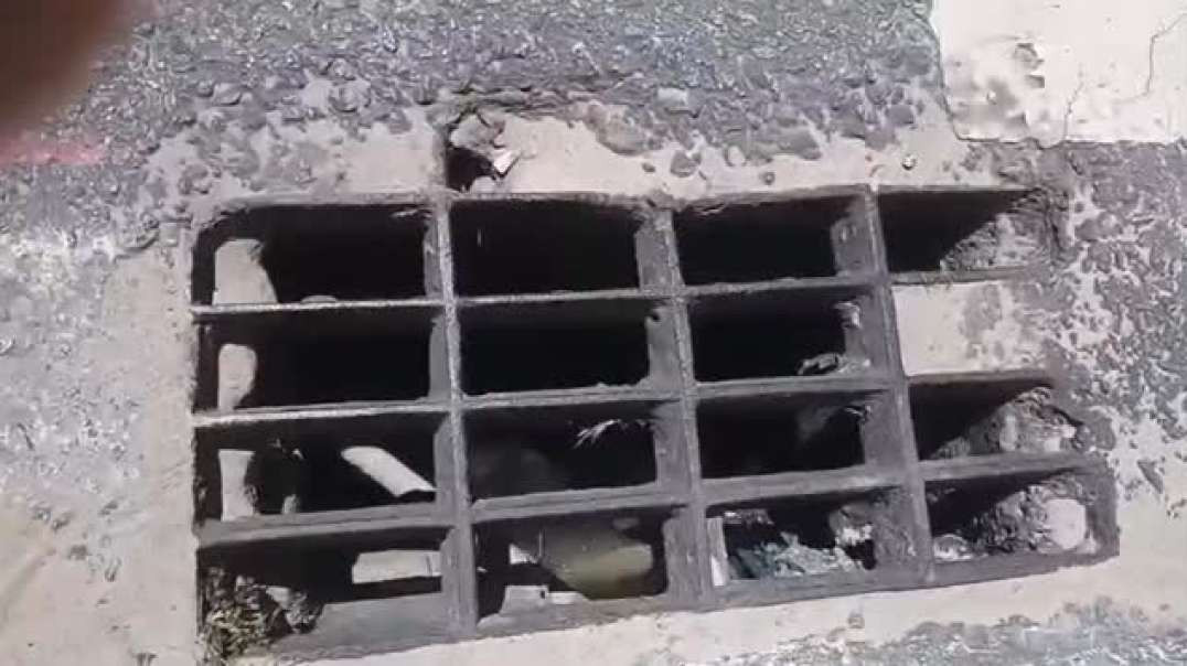 BLITZ SANEAR IDENTIFICA IRREGULARIDADES NOS INGLESES